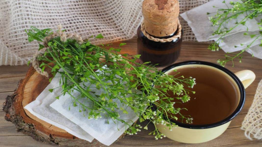 İbrahim Saraçoğlu'ndan hayat kurtaran tarif! Kalp damarlarını temizliyor, tansiyonu dengeliyor: Basurun en kesin çaresi 3